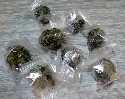 Five-leaf ginseng (jiao gu lan)