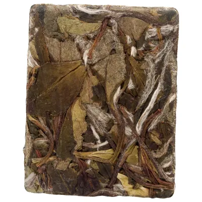 Bai Mu Dan 2023 Xiao Fang Cha 20g
