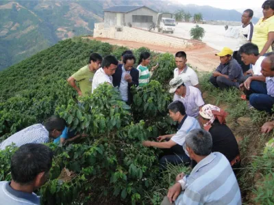 Coffee Yunnan Catimor 350g