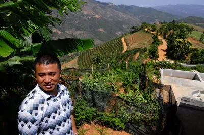 Coffee Yunnan Catimor 350g