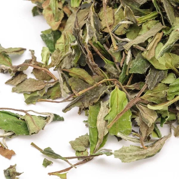 Product Bai Mu Dan King Image